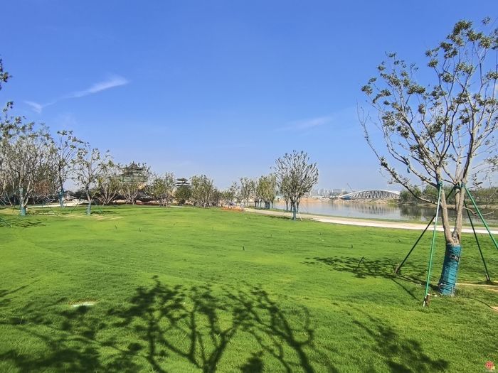 �ٳ��������ƽ�����������Э�������̵ؿ��Ź�������������������չ��һ�ε���